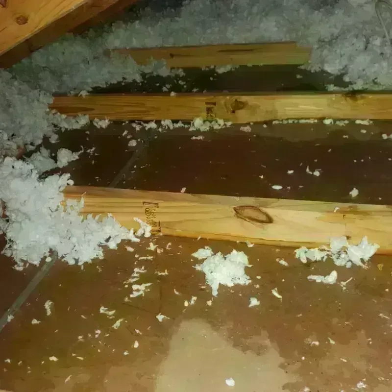 Attic Water Damage in Canton, NC