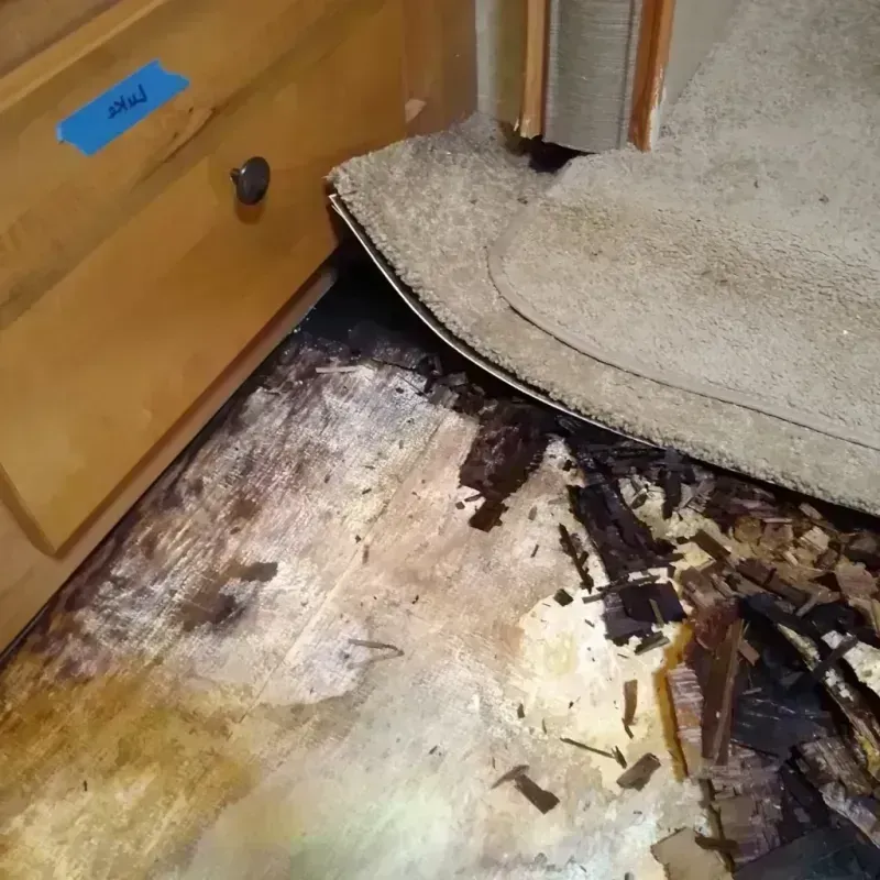 Wood Floor Water Damage in Canton, NC